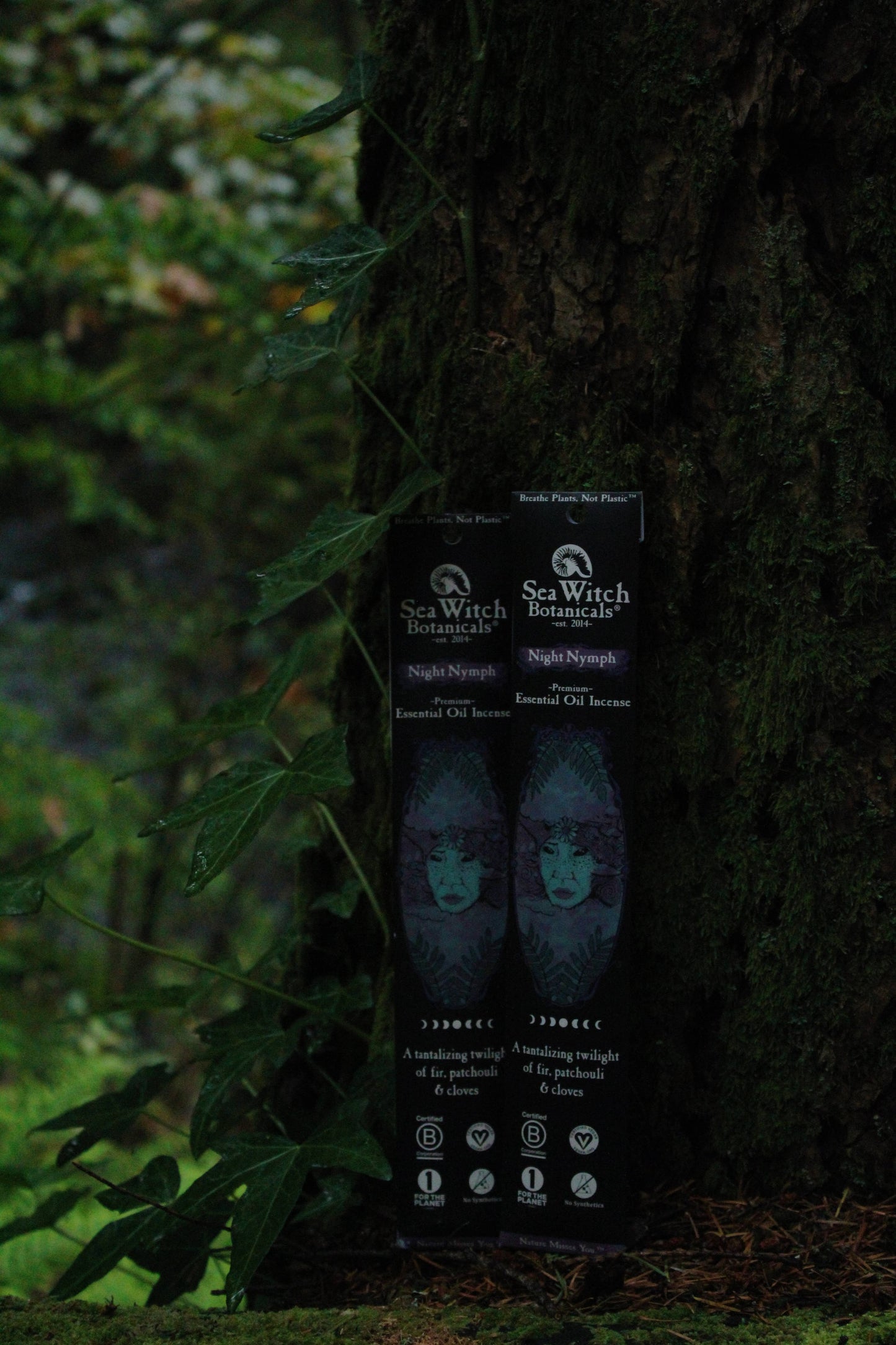 Premium Incense 20pks - Night Nymph
